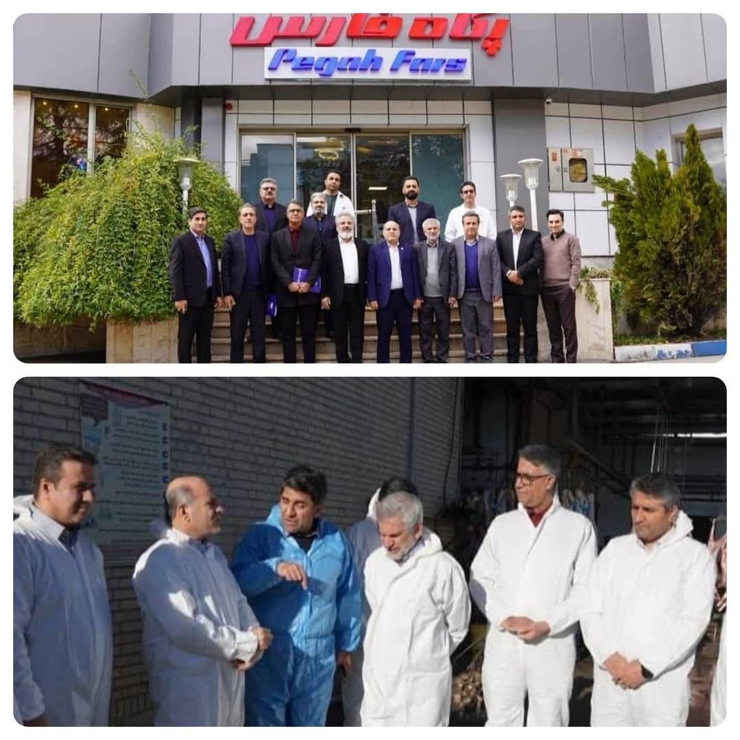 بازدید سرپرست دیوان محاسبات فارس از کشتارگاه دام مرودشت و شرکت شیر پگاه فارس